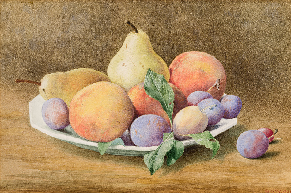John-William-Hill_Plums-Pears-Peaches,-and-a-Grape-1864_4104-052_Lent-by-Mr.-and-Mrs.-Stuart-P.-Feld_950w