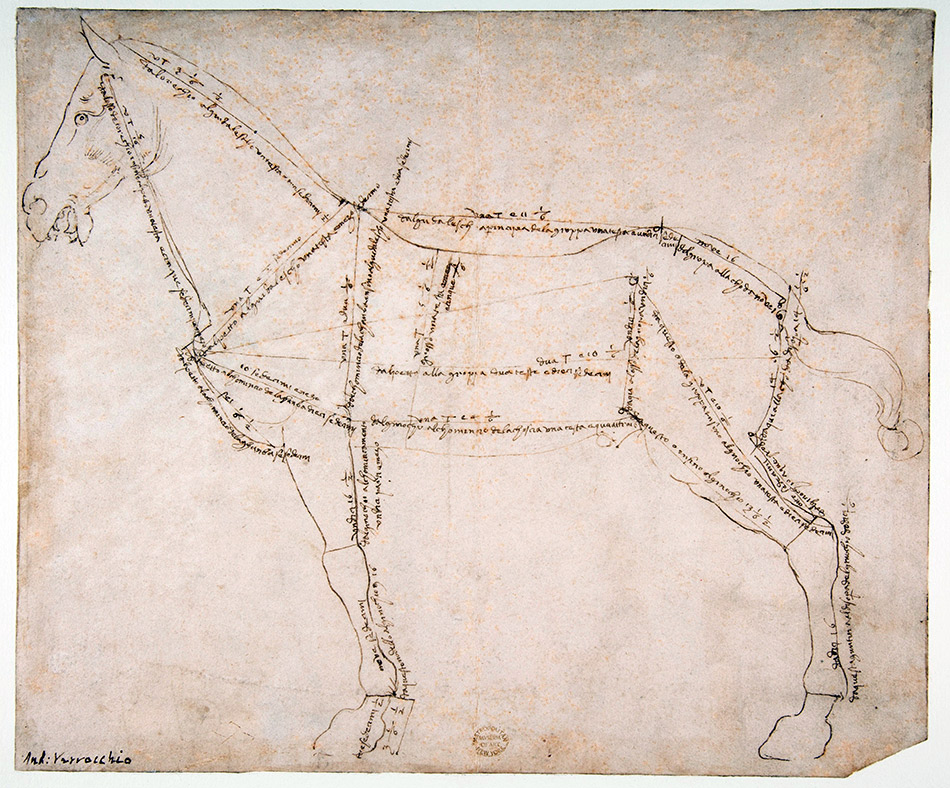 Andrea-del-Verrocchio_Measured-Drawing-of-a-Horse-Facing-Left_950-W