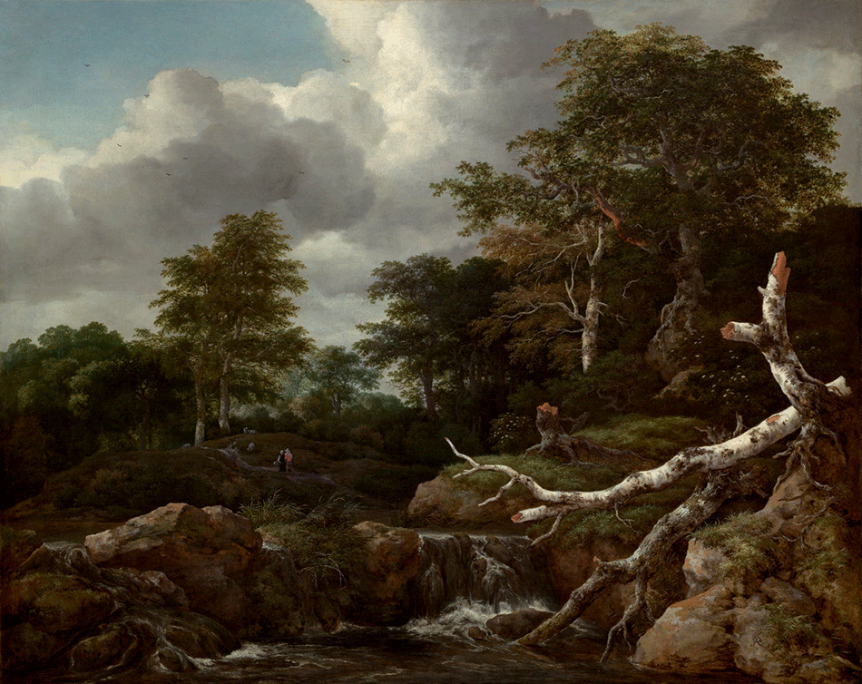 riusdael-jacob-van_forest-scene_widener-joseph-early-collection_national-gallery-of-art_washington-dc