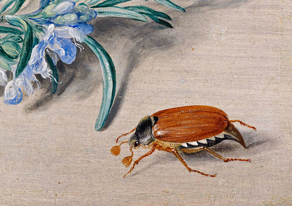 Jan van Kessel_ Insects and a Sprig of Rosemary-detalle-4b_950