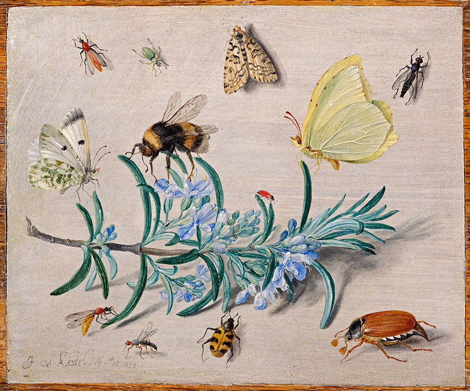 Jan Van Kessel Patrons 