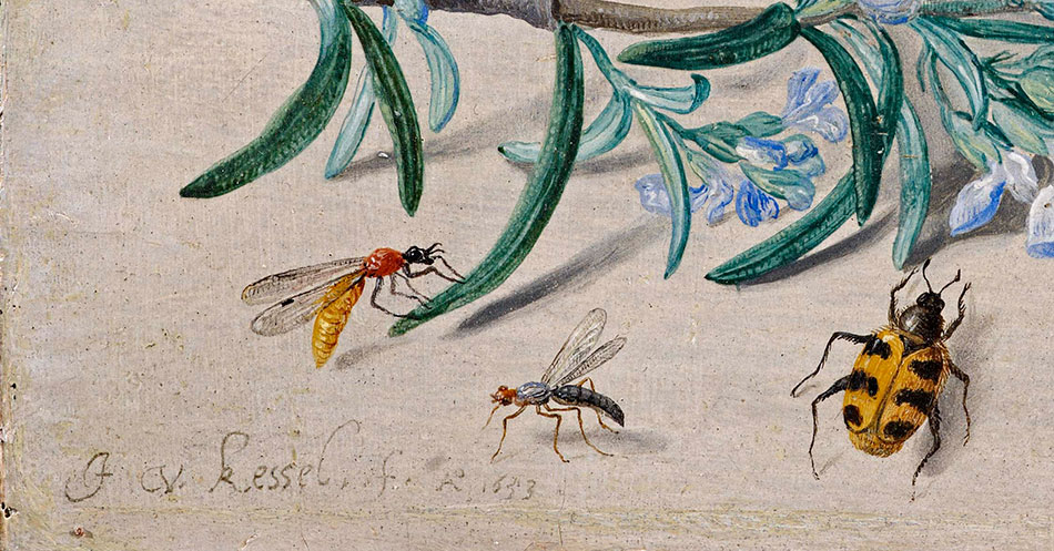 Jan van Kessel_ Insects and a Sprig of Rosemary_detalle-3b_950