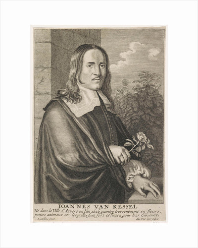 jan van kessel portrait