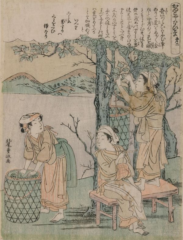Shigemasa Kitao, Japan, 1739 - 1820, Girls picking mulberry leaves, The cultivation of the silkworn