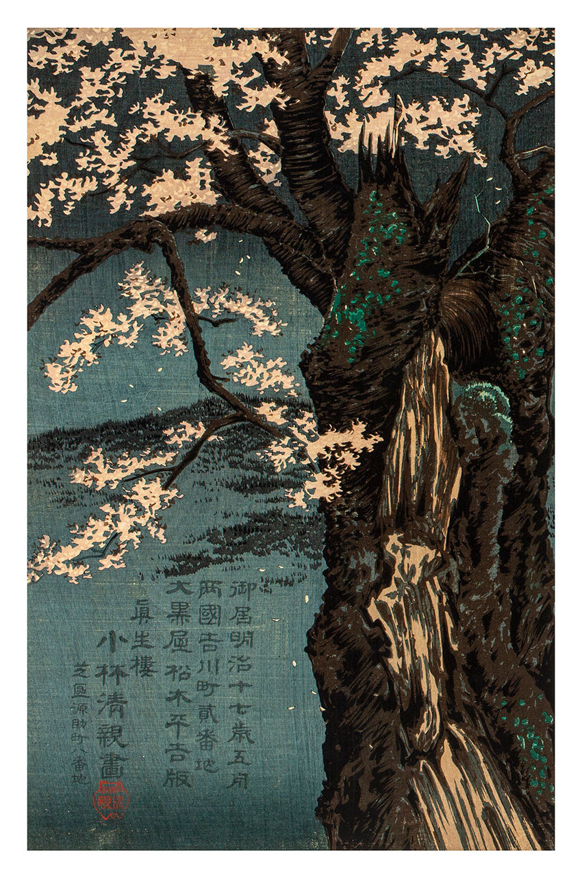 Kiyochika Kobayashi, Japan, 1847 - 1915, Taira no Tadanori (1144–1184) resting under a cherry tree, 1884 (Meiji 17), Tokyo, woodblock print, ink and colour on paper, triptych__detail 1
