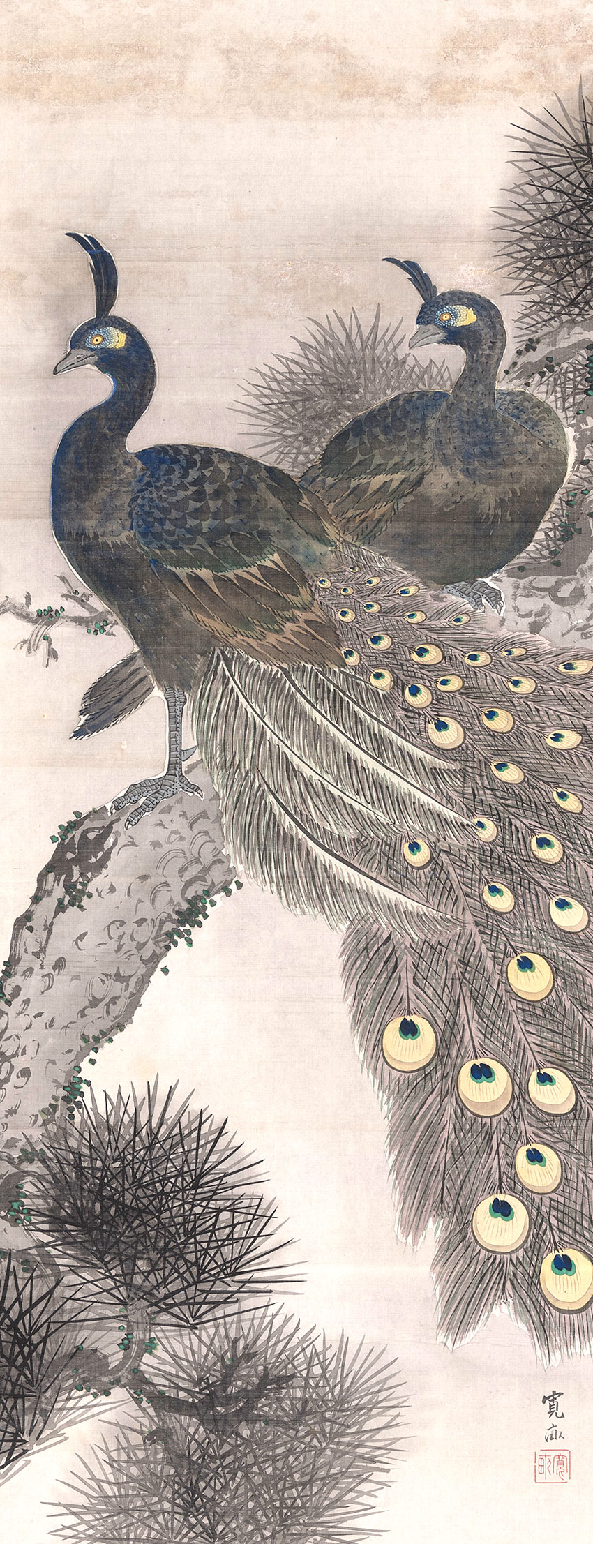 Araki Kanpo. Edo-Tokyo, 1831-1915. A pair of peacocks, male and a female, on a pine tree, Late 19th century. Painting in ink and colours on silk, 102,6 x 39,6 cm_RET