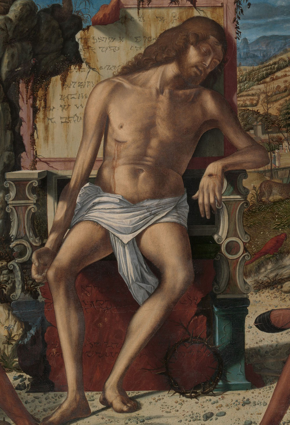 Vittore-Carpaccio-_Meditation-on-the-Passion-of-Christ_detail_-4955-027.jpg
