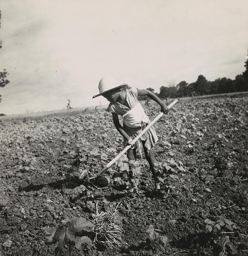 Dorothea Lange_Child of Impoverished Negro Tenant Family Working on Farm, Alabama, July 1936_5558-018
