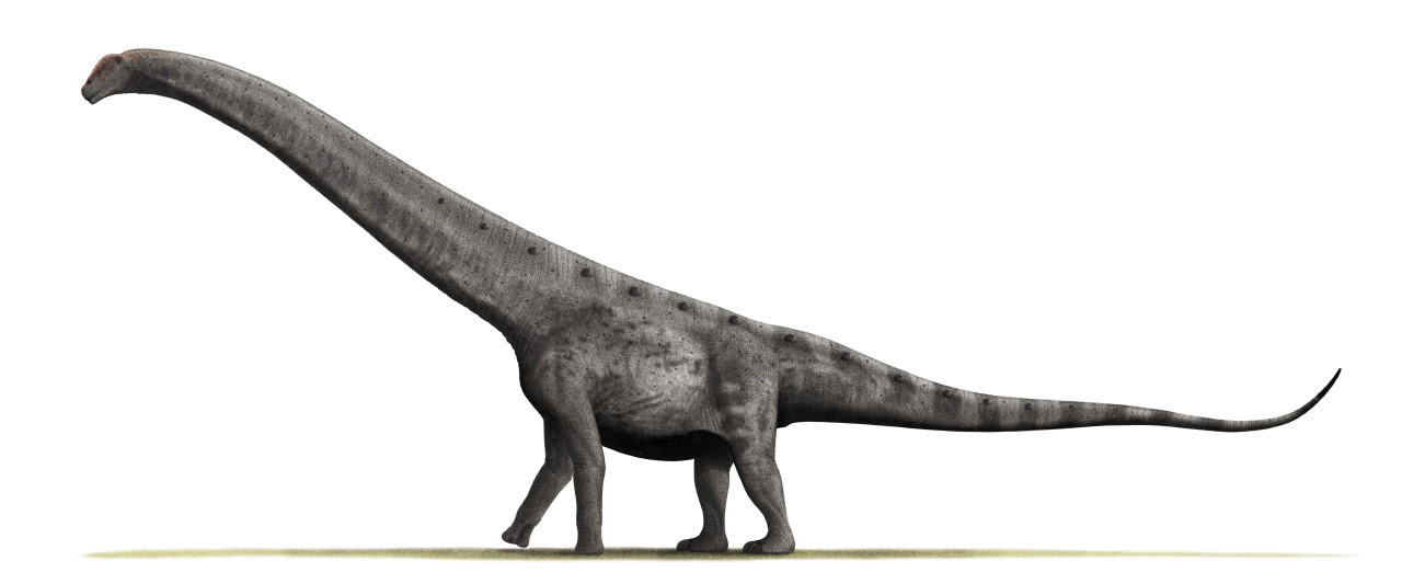 ARGENTINOSAURUS