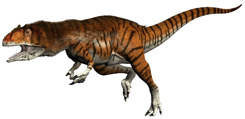 Allosaurus-by-paleoguy sin fondo 850 px 2