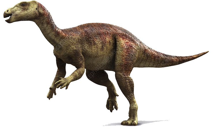 Camptosaurus 