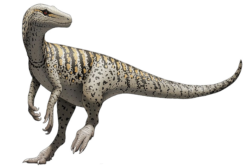 HERRERASAURUS 850