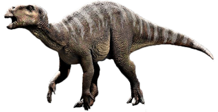 IGUANODON 850