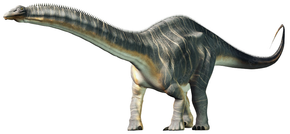 NEW APATOSAURUS 2