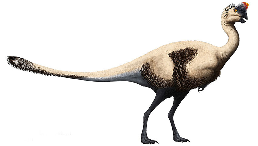 Oviraptor 850