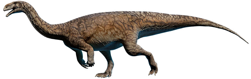 PLATEOSAURUS 850