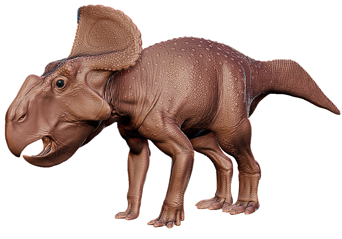 Protoceratops