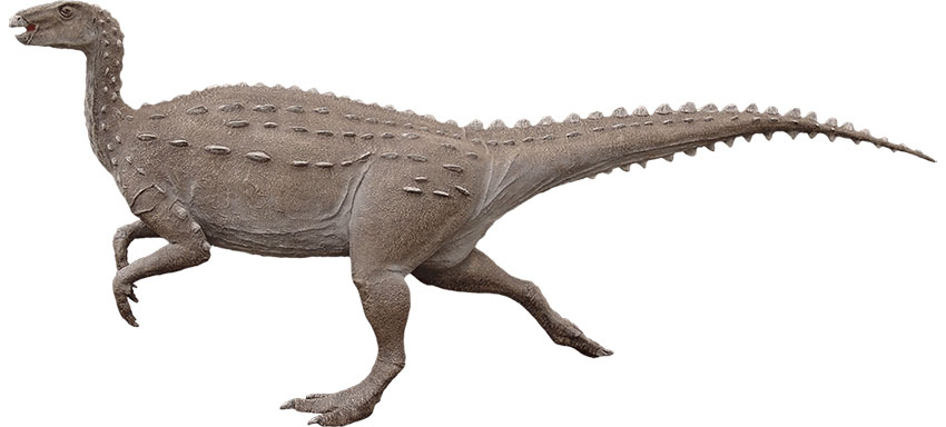 Scelidosaurus