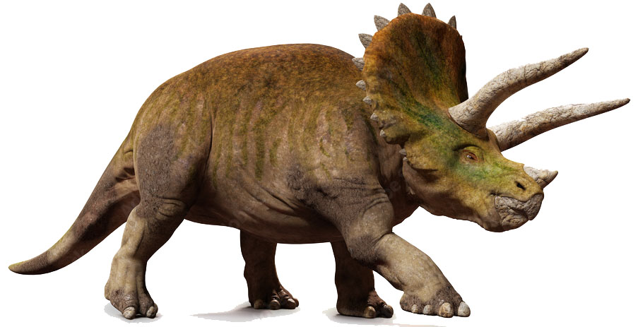 TRICERATOPS SIN FONDO