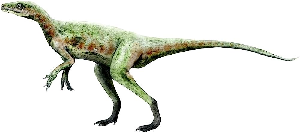 eoraptor