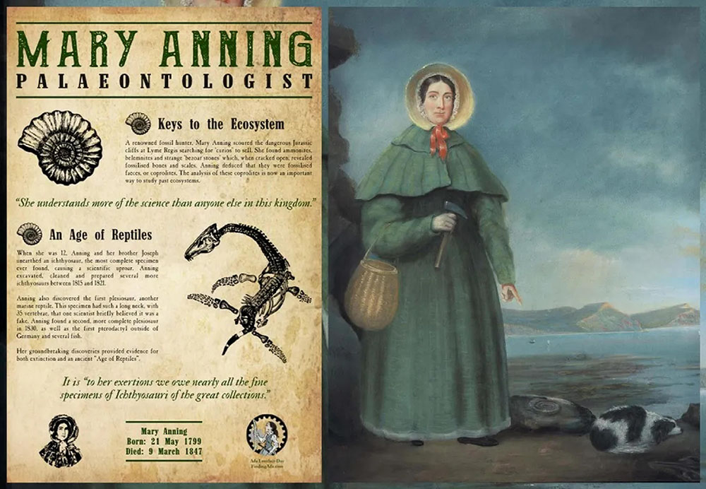 MARY ANNING 1000