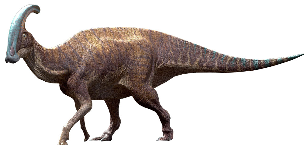 PARASAUROLOPHUS 1000